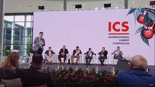 Около 20 компаний и организаций Узбекистана участвуют в международной плодоовощной выставке «Macfrut 2022» в Италии