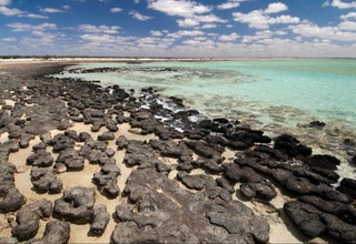 Sun'iy intellekt Yerdagi eng qadimgi tiriklik belgilarini topdi