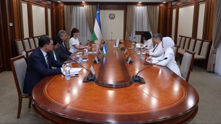 В Сенате Олий Мажлиса состоялась встреча с главой миссии БДИПЧ ОБСЕ