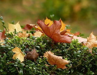 Прогноз погоды на 24 сентября