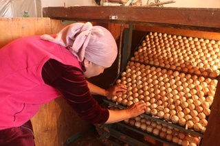 Mahalla ko'magi bilan ro'zg'orimiz but bo'ldi