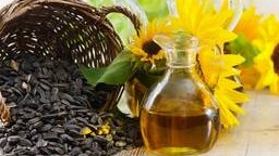 Узбекистан в нынешнем сезоне стал лидером среди импортеров казахстанского подсолнечника и продукции из него