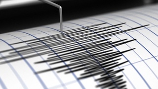 Афғонистондаги зилзила кучи Ўзбекистонда ҳам сезилди