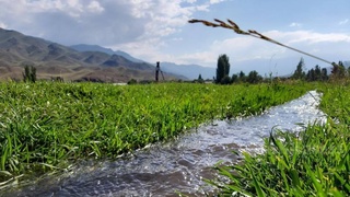 Ҳафта давомида ўртача илиқ об-ҳаво сақланиб туради