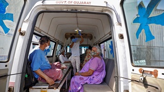 В Индии на фоне коронавируса зафиксировали редкую грибковую инфекцию