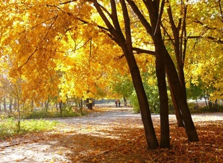 Прогноз погоды на день 11 ноября