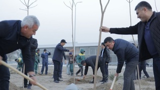 В Сырдарье на встрече с областным прокурором посадили 200 саженцев