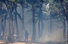 Kannin shahrida yongʻin sodir boʻldi