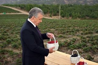 Резавор боғлар тажрибаси кенгайтирилади