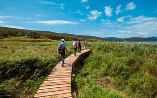 Өзбекстанда экоаймақларда туристлик соқпақларды шөлкемлестириў тәртиби белгиленди