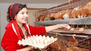 Время деловых женщин