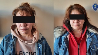 Эгизакларнинг кирдикорлари фош бўлди