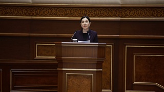 Сенаторы рассмотрели доклад Уполномоченного по правам ребенка