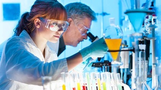 Исключить фактор коррупции и повысить научный потенциал: определены приоритеты развития системы высшего образования Узбекистана