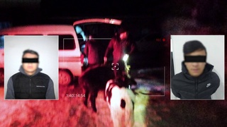 Aholining mol va qoʻylarni oʻgʻirlayotgan bir guruh shaxslar qoʻlga olindi