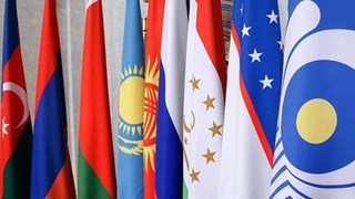 A basic organization for healthcare and medical care will appear in the CIS