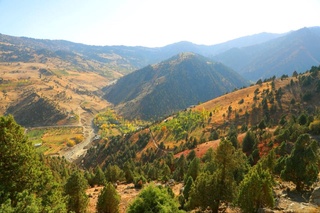 "Ўзгидромет" ой охирида бизни қандай об-ҳаво кутаётганини маълум қилди