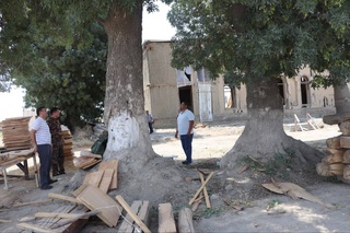 На основе обращения в Карманинском районе Навоийской области паспортизировали деревья