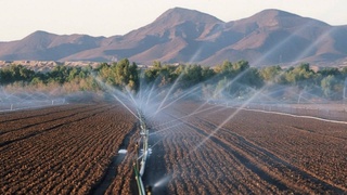 Водосбережение: эффективность использования каждой капли