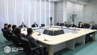 Ялпи мажлиси кун тартибига киритилган масалалар дастлабки тарзда кўриб чиқилди