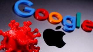 Ученые будут предсказывать вспышки Covid-19 по запросам в Google