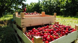 Домохозяйство - источник дохода и благополучия