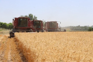 Косонда 227 та фермер хўжалиги режани бажарди