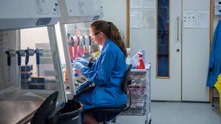 Почему не надо бояться мутаций вируса, опасно ли путешествовать в период пандемии и каковы долгосрочные последствия COVID-19