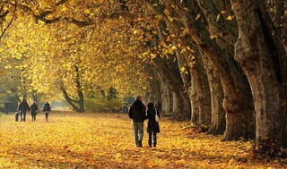 25-ноябрь күнги ҳаўа райы ҳаққындағы мағлыўмат