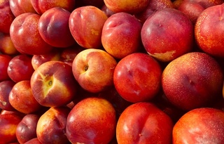 Ўзбекистон 17,3 минг тонна шафтоли экспорт қилган