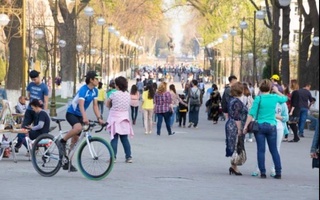 С начала года население Ташкента увеличилось на 47 100 человек