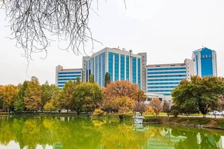 Прогноз погоды на 19 ноября