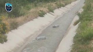 Дар Намангон қочоқбарон аз ҷараёни дарё барои интиқоли сигор аз Қирғизистон истифода карданд