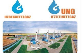 Конлардан қазиб олинадиган газ ҳажмини кўпайтиришнинг оптимал ечимлари топилди