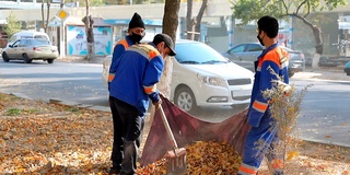 Органик чиқиндиларни қайта ишлаш