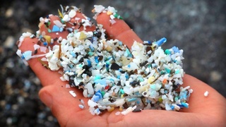 Впервые в крови людей обнаружили микропластик