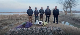 Noqonuniy baliq ovlaganlar qoʻlga tushdi