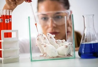 Умрни узайтирадиган дори воситаси аниқланди