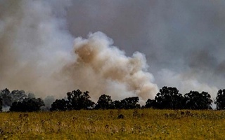 Isroil Livan janubiga bir qator zarbalar berdi