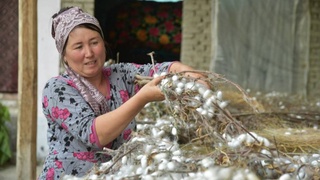 Прочнее стали, тоньше паутины