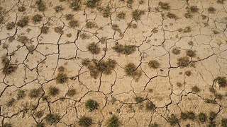 Zambiya, Zimbabve va Malavi: kuchli qurg'oqchilik tufayli millionlab odamlar oziq-ovqat tanqisligidan aziyat chekmoqda