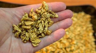 Навоийда тилла талвасасида шеригига “шер”лик қилган йигит қўлга олинди