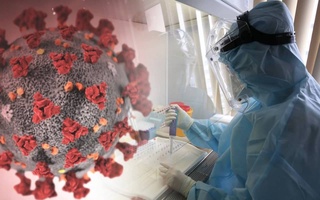 «Омикрон»-штамм: не паниковать, но готовиться к вероятному распространению нового варианта