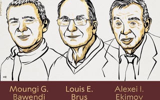 Nobel mukofotining kimyo bo'yicha sovrindorlari nomi ma'lum bo'ldi