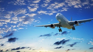 Подача и проверка статуса разовых полетов