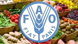 Узбекистан продвигает инициативу «Одна страна - один приоритетный продукт»