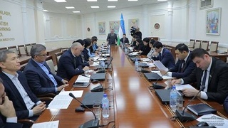 Критически оценена деятельность Государственного комитета по делам семьи и женщин