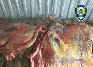 Истеъмолга яроқсиз гўшт маҳсулотларининг муомалага киритилишининг олди олинди