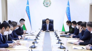 Рассмотрен ход инвестиционного и торгово-экономического сотрудничества с Японией и Республикой Корея