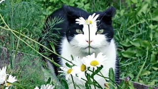 Прогноз погоды с 3 по 7 мая: к концу недели жара спадет